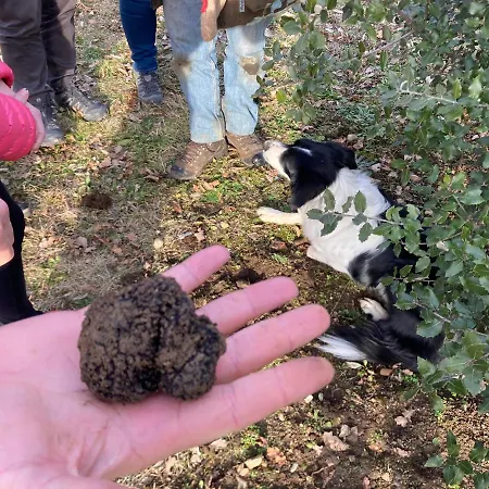 Le Clos Bo-m Alojamento de Acomodação e Pequeno-almoço Marignieu